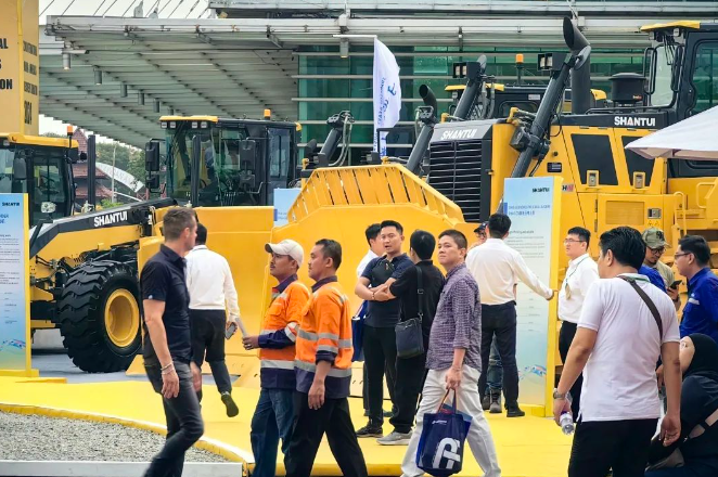 d33d9cb3246c47d2bbf1a1619736911e